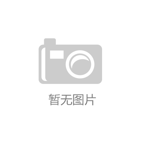 公司理念